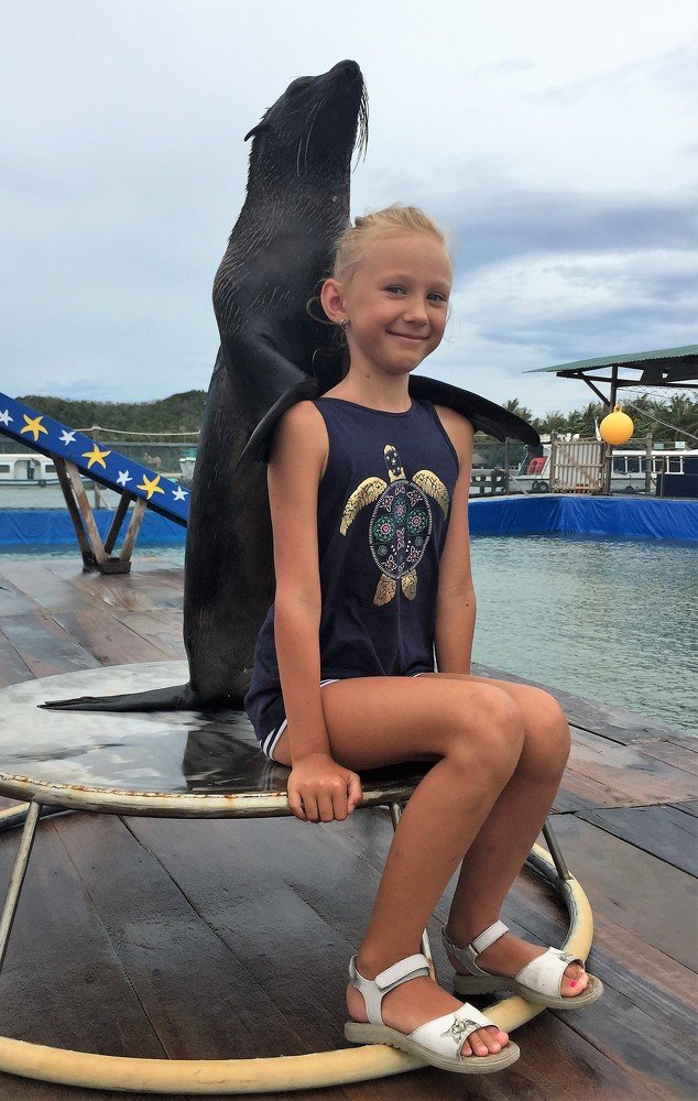 с морским котиком