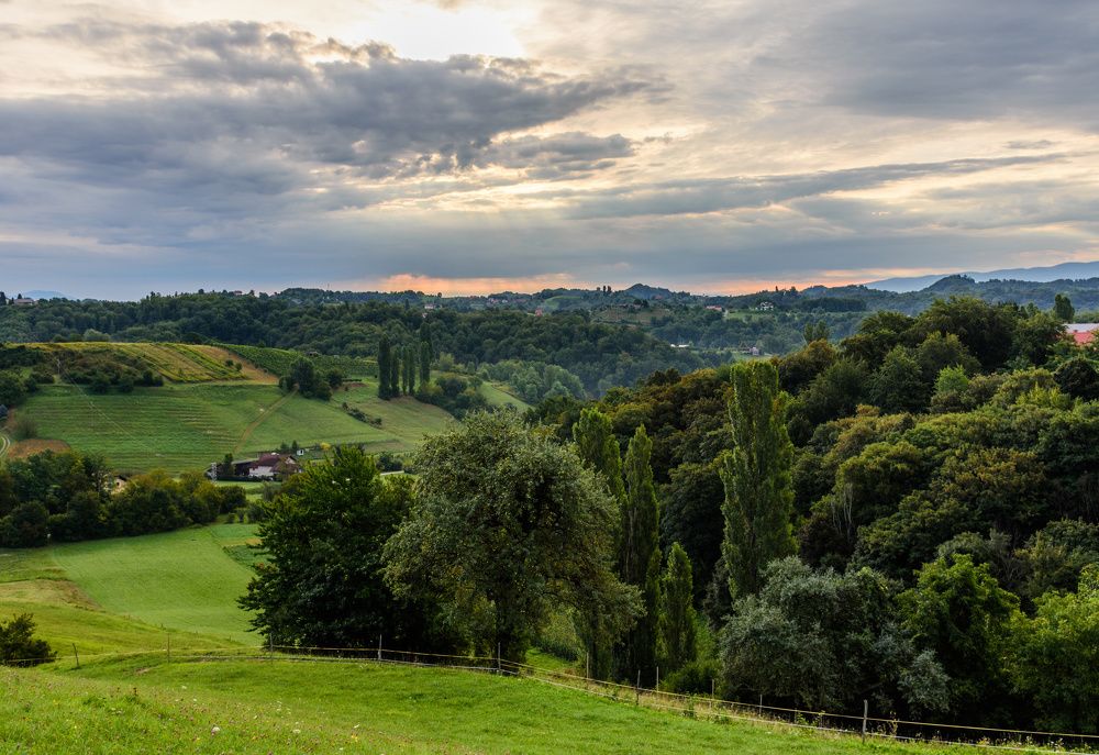 Сельский пейзаж в Словении