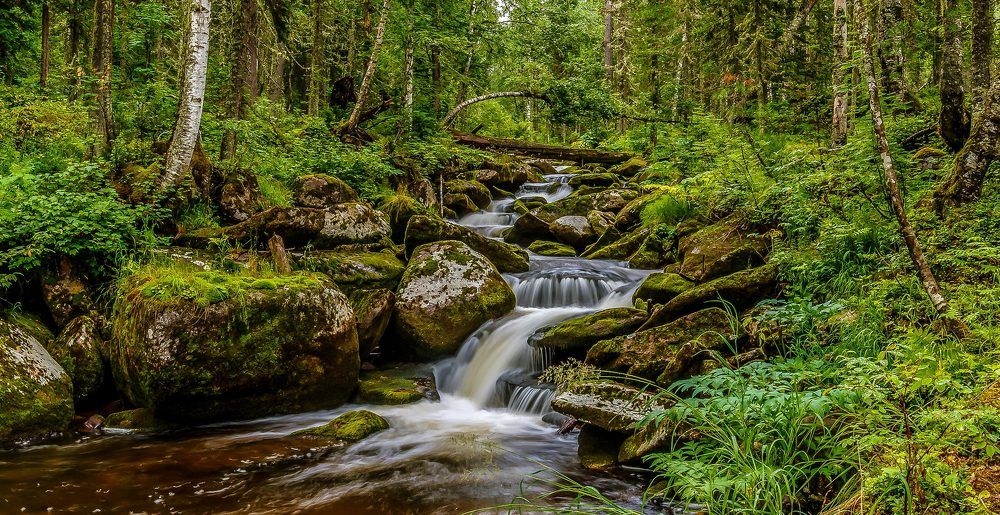 Исток р.Большого Изыгаша.