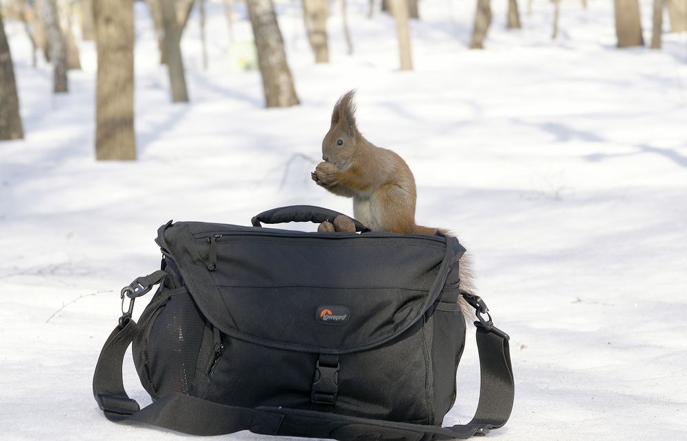 Ассистентка