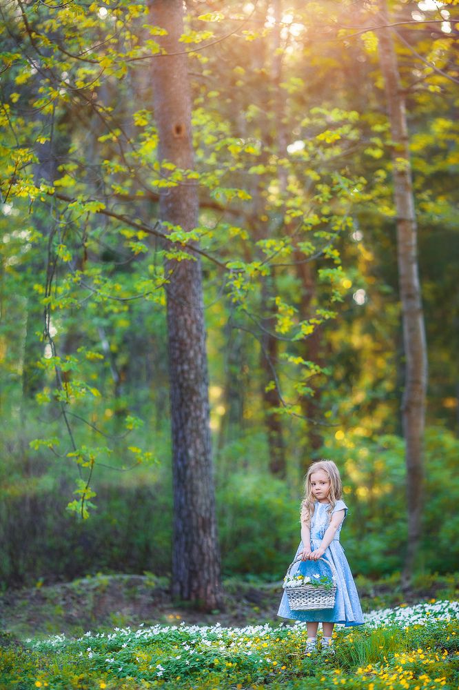 Прогулка в детство