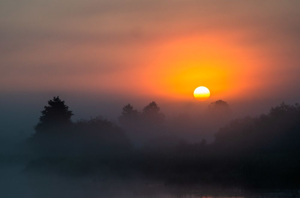 Photograph by Евгений Новицкий