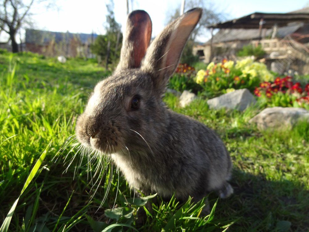 Photograph by Стефанова Татьяна