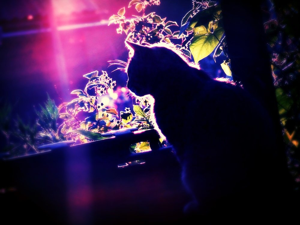 Photograph by Стефанова Татьяна