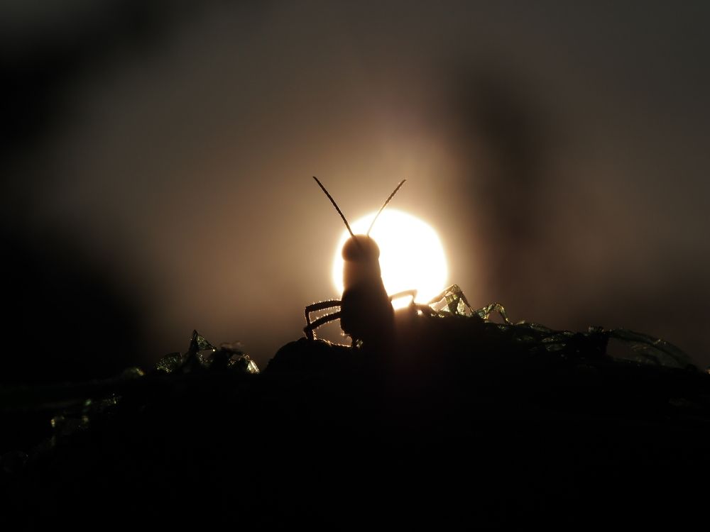 На закате дня