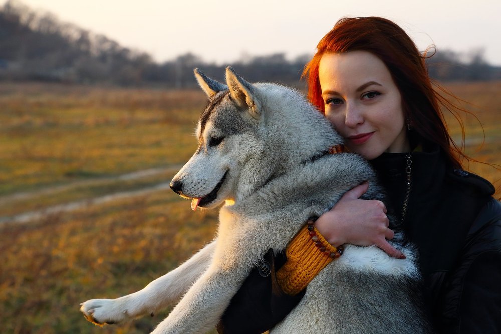 Друзья Хаски.