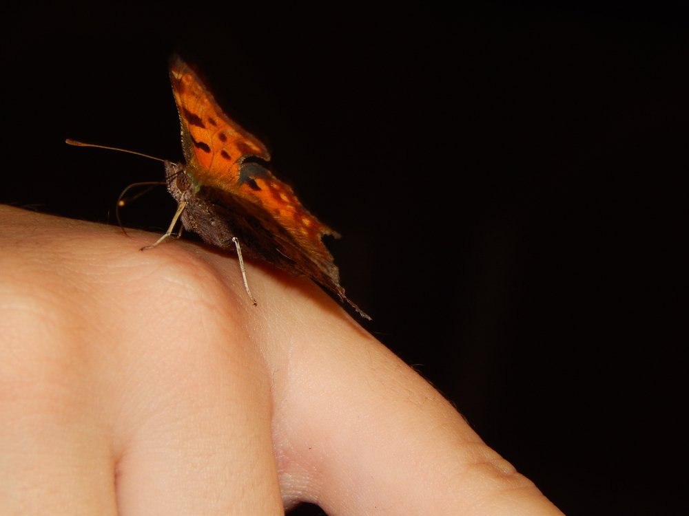 Фотография автора Stanislav Kompaniiets