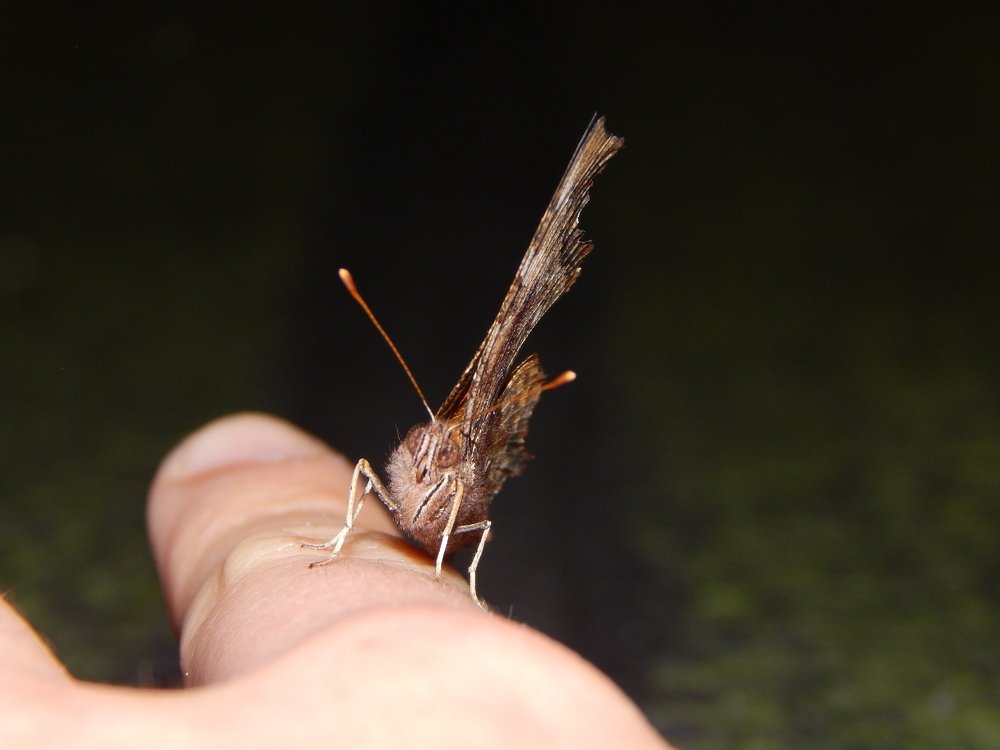 Фотография автора Станислав Компаниец