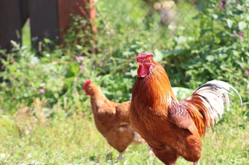 Photograph by Терентьев Георгий