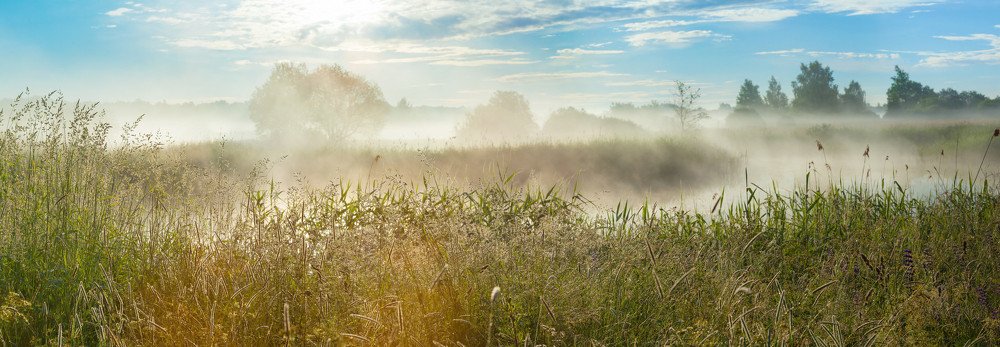 Photograph by Игорь Ткачев