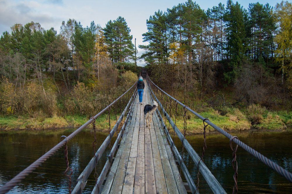 Photograph by Татьяна Боталова