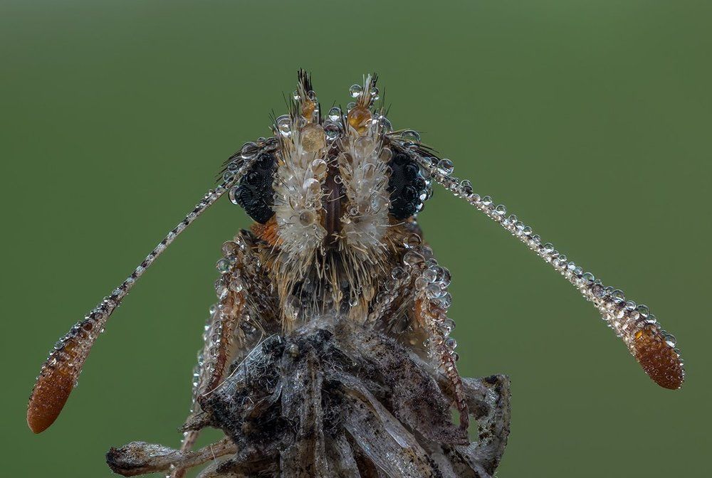 Photograph by Alexandr Melnik