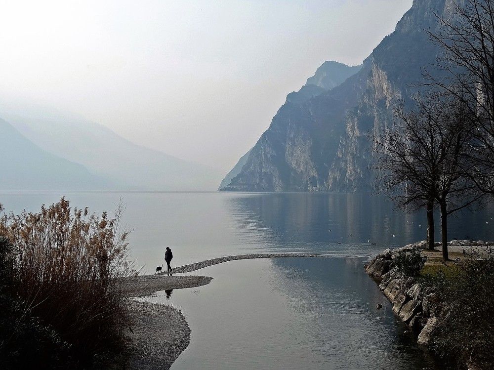 На прогулке