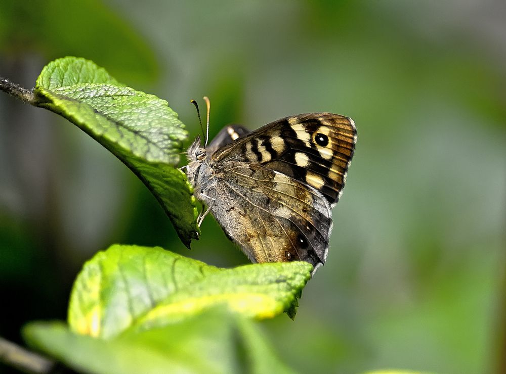 Фотография автора Игорь Иванов