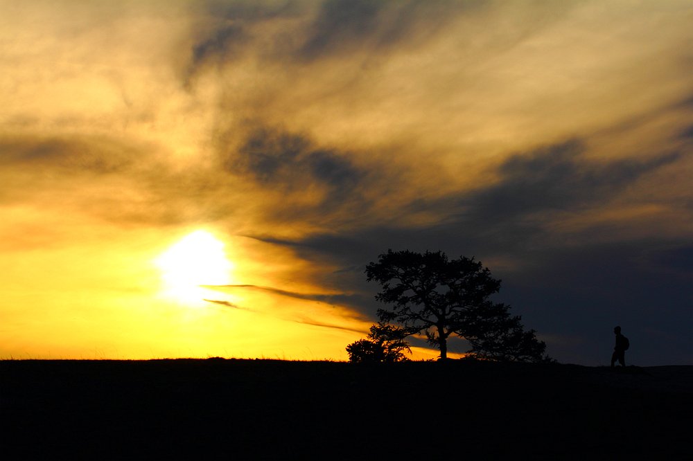 Возвращение...