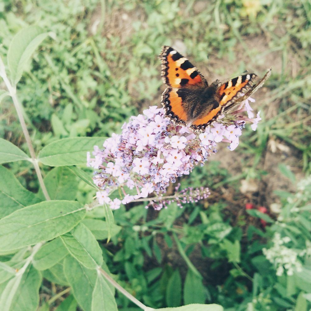 Photograph by Игнат Крошко