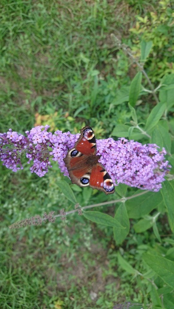 Photograph by Игнат Крошко
