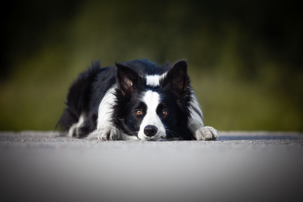 Кайден после тренировки