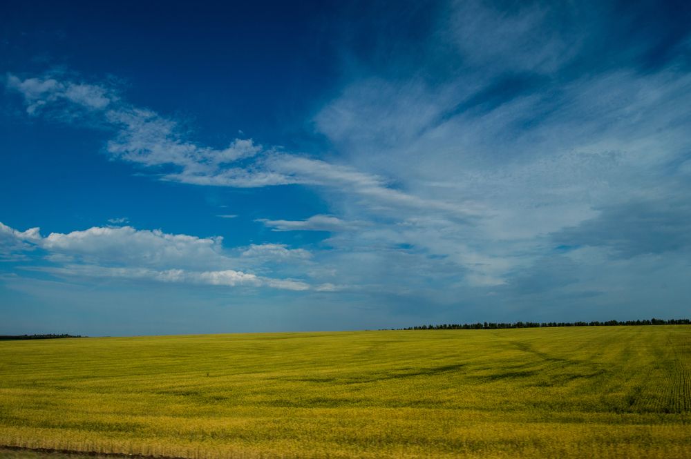 Photograph by Татьяна Боталова