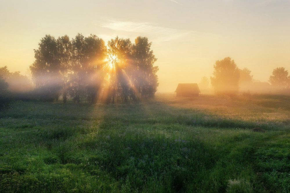 "Тихое утро"
