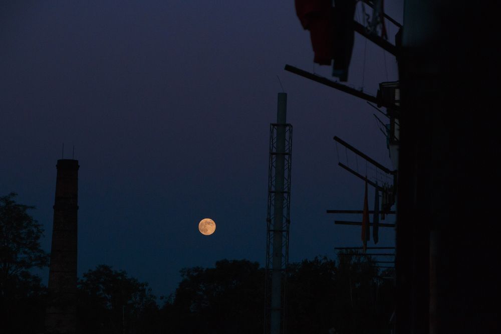 Photograph by Юлия