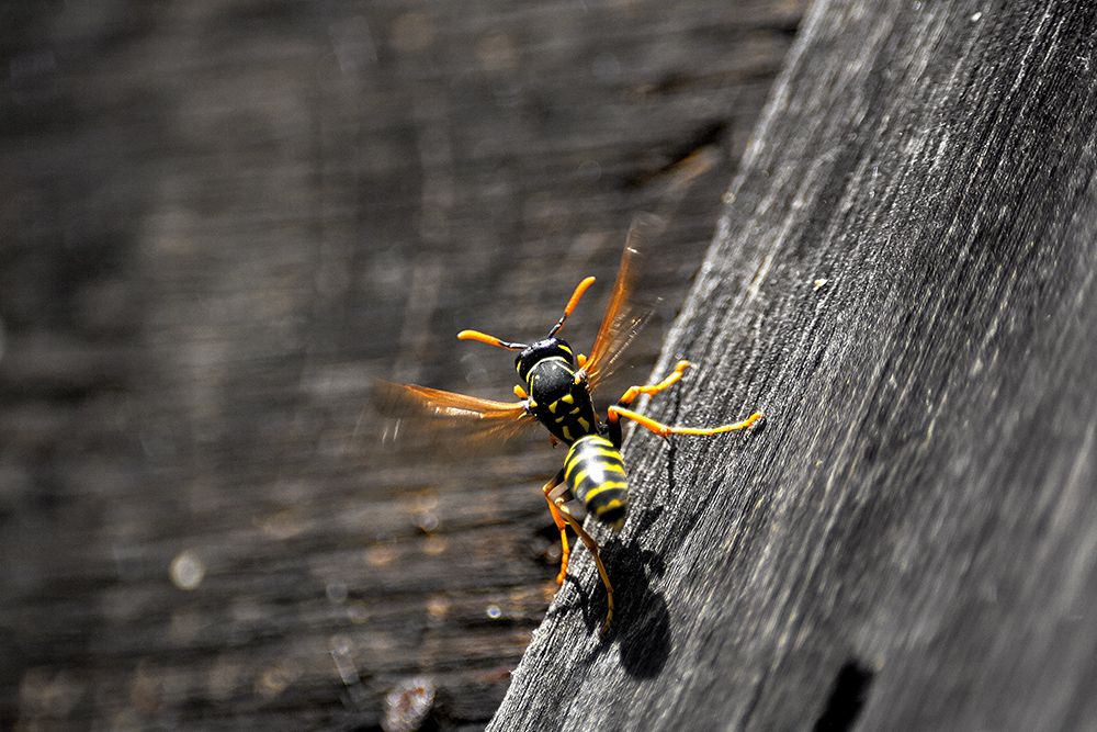 Фотография автора Игорь Иванов