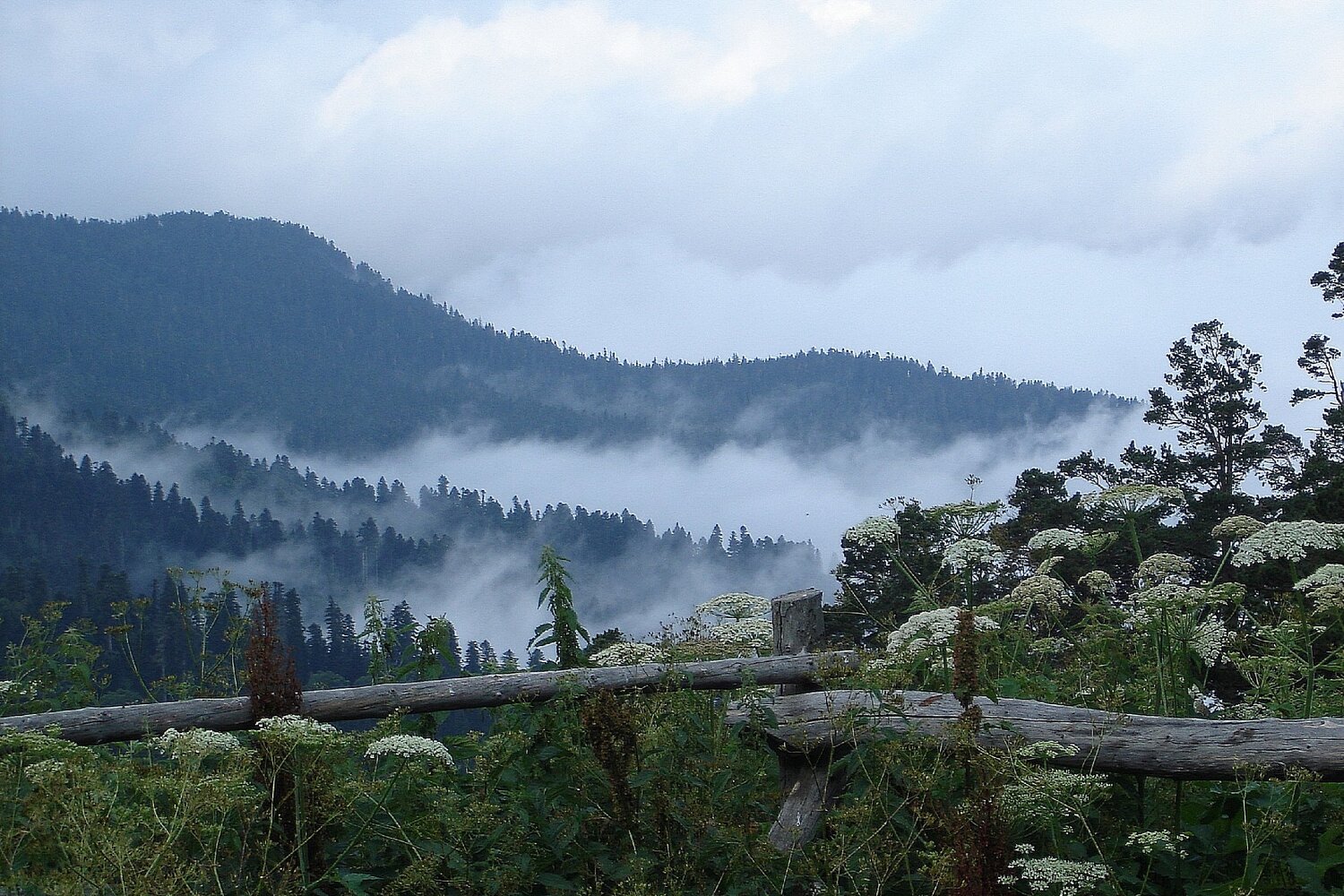 В горах