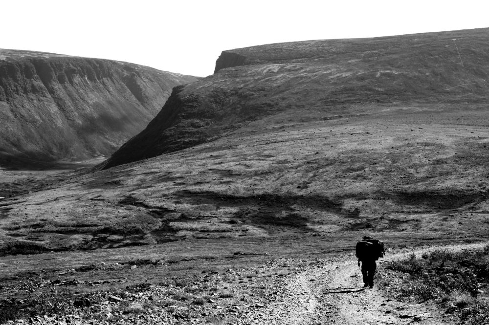 Лавозерские тундры.