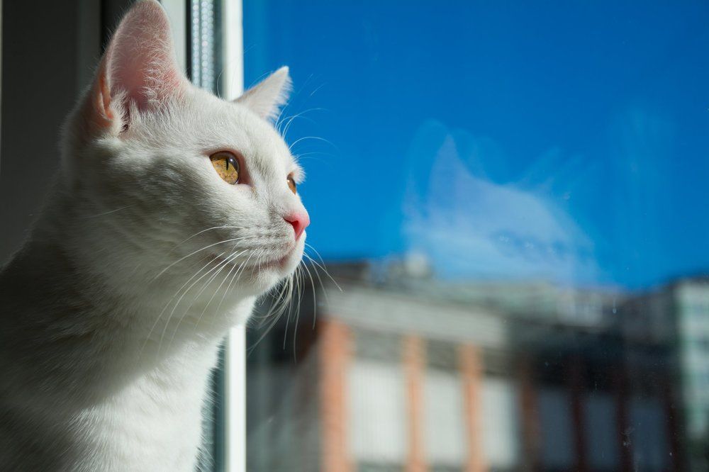 Теплый денек