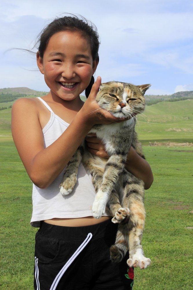 Моя дорогая кошка