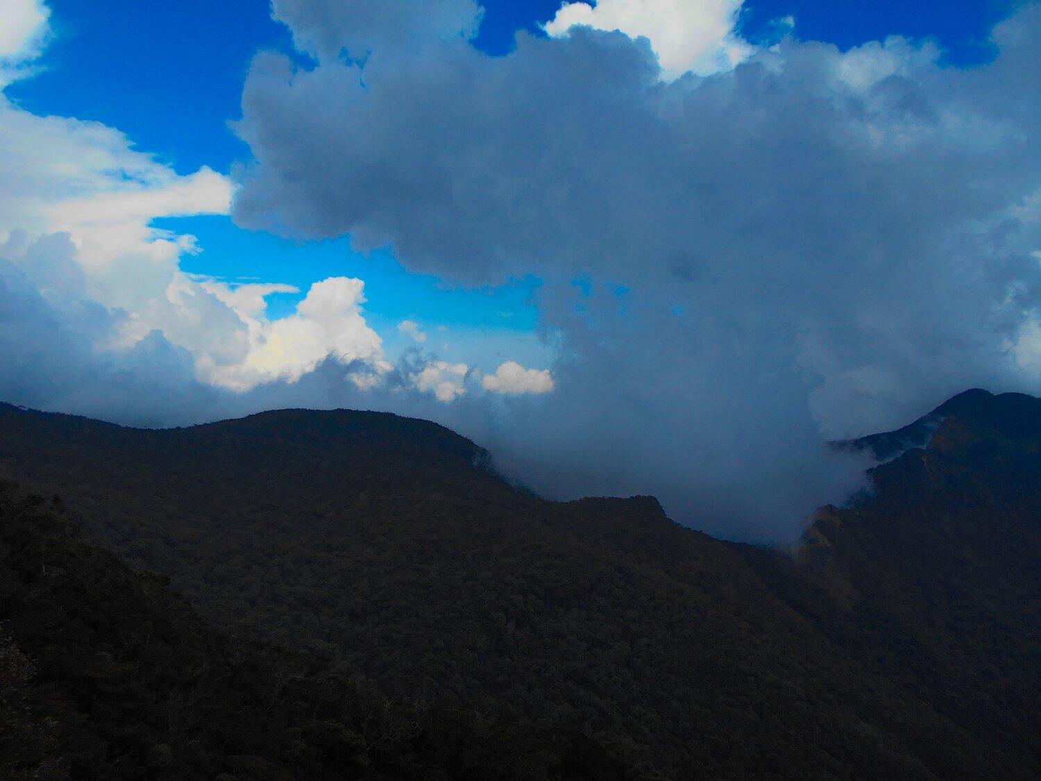 Fog photography