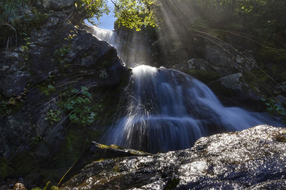 Photograph by Елена Вторушина