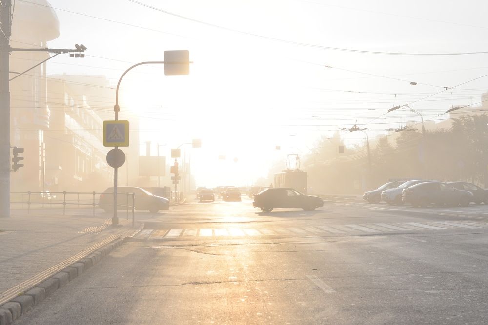 Утренний туман