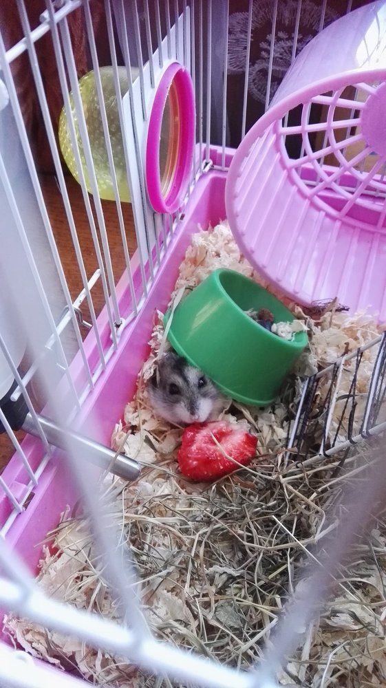 Сезон начинается у всех)