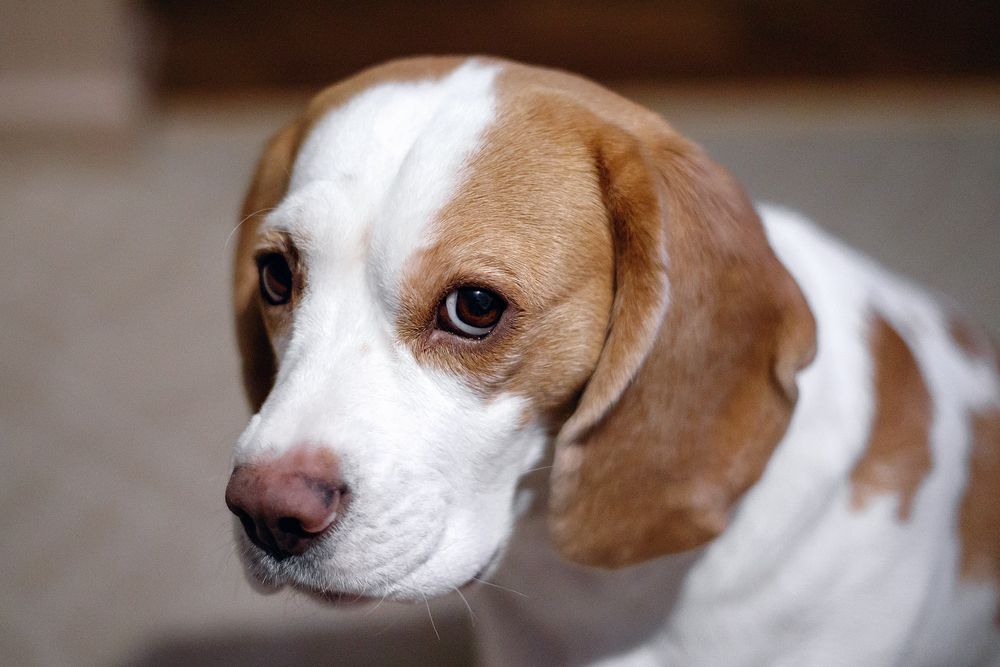 Photograph by Евгений Рыжиков