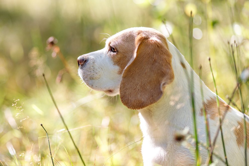 Photograph by Евгений Рыжиков