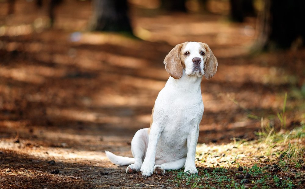 Photograph by Евгений Рыжиков