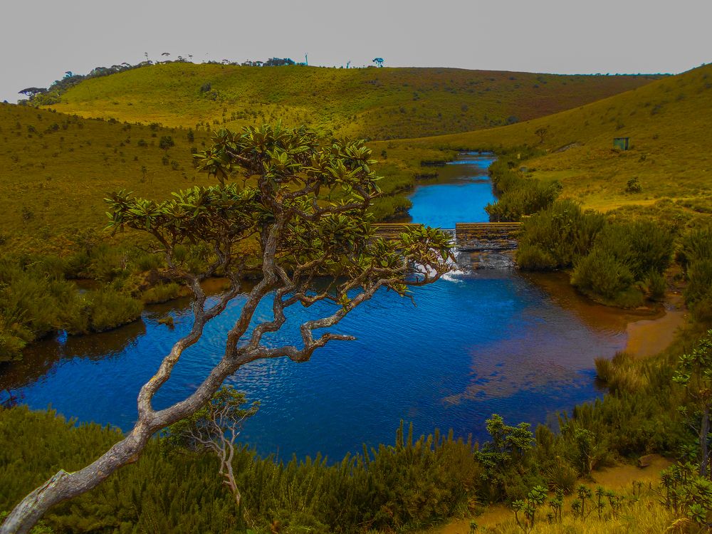 Landscape