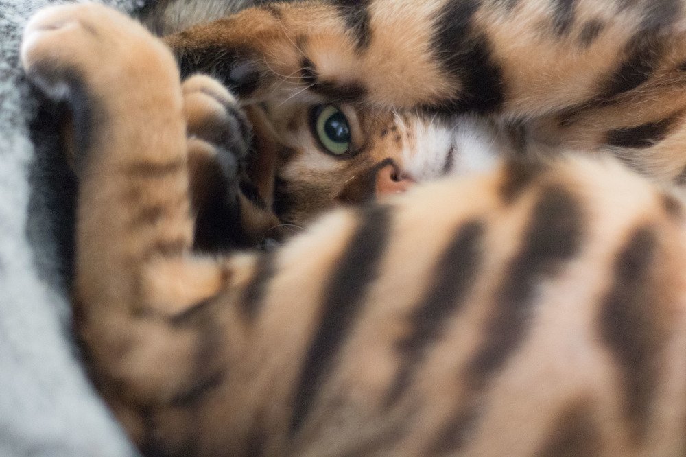 Заряжаем батарейку