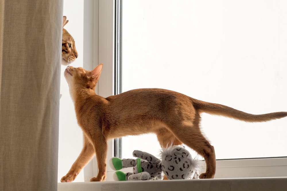 Ты меня правда любишь?