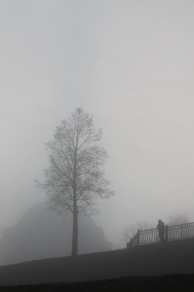 Человек и дерево