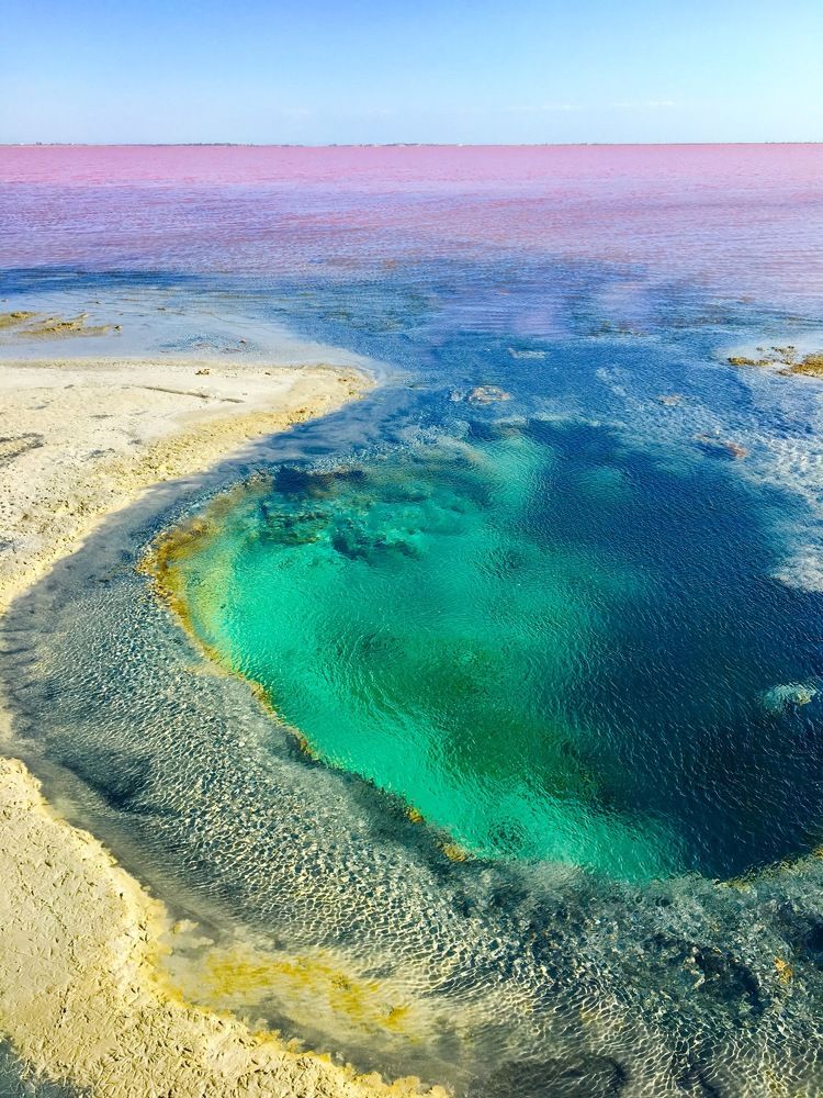 Крым. о. Сасык-Сиваш.