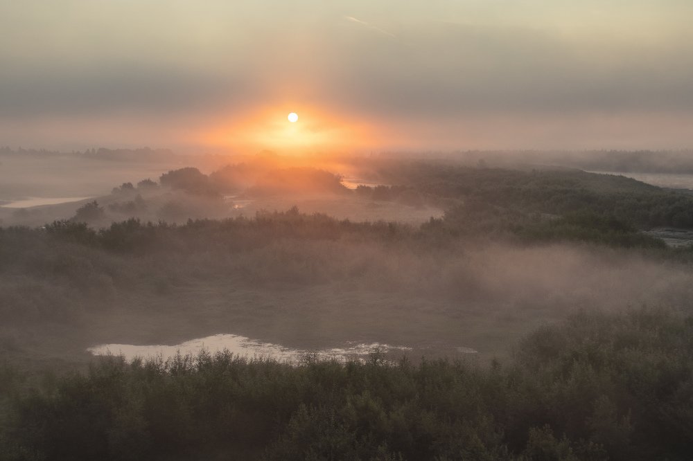 туманное утро