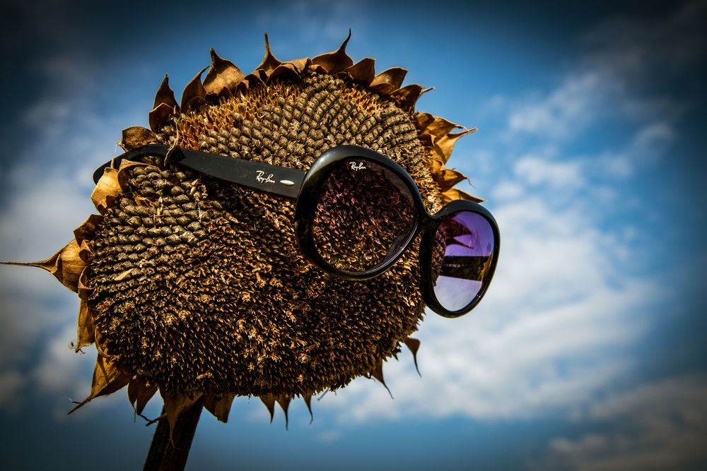 Looking for the Summer...