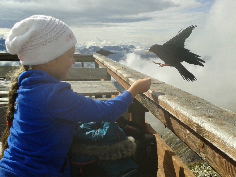 Встреча в облоках