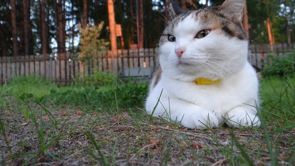 Отдых на природе