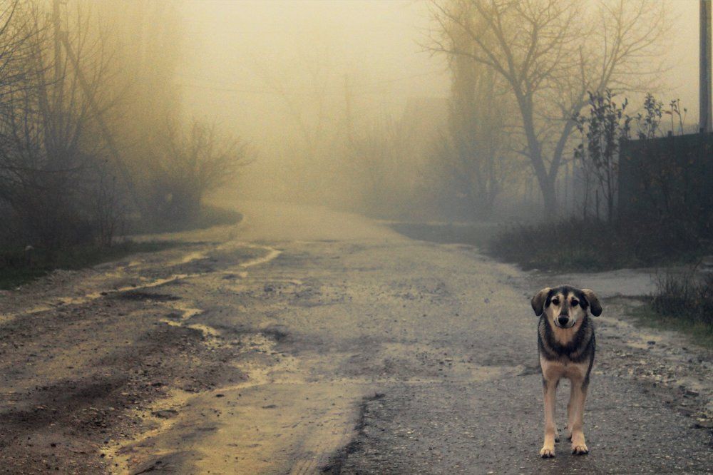 Одиночество