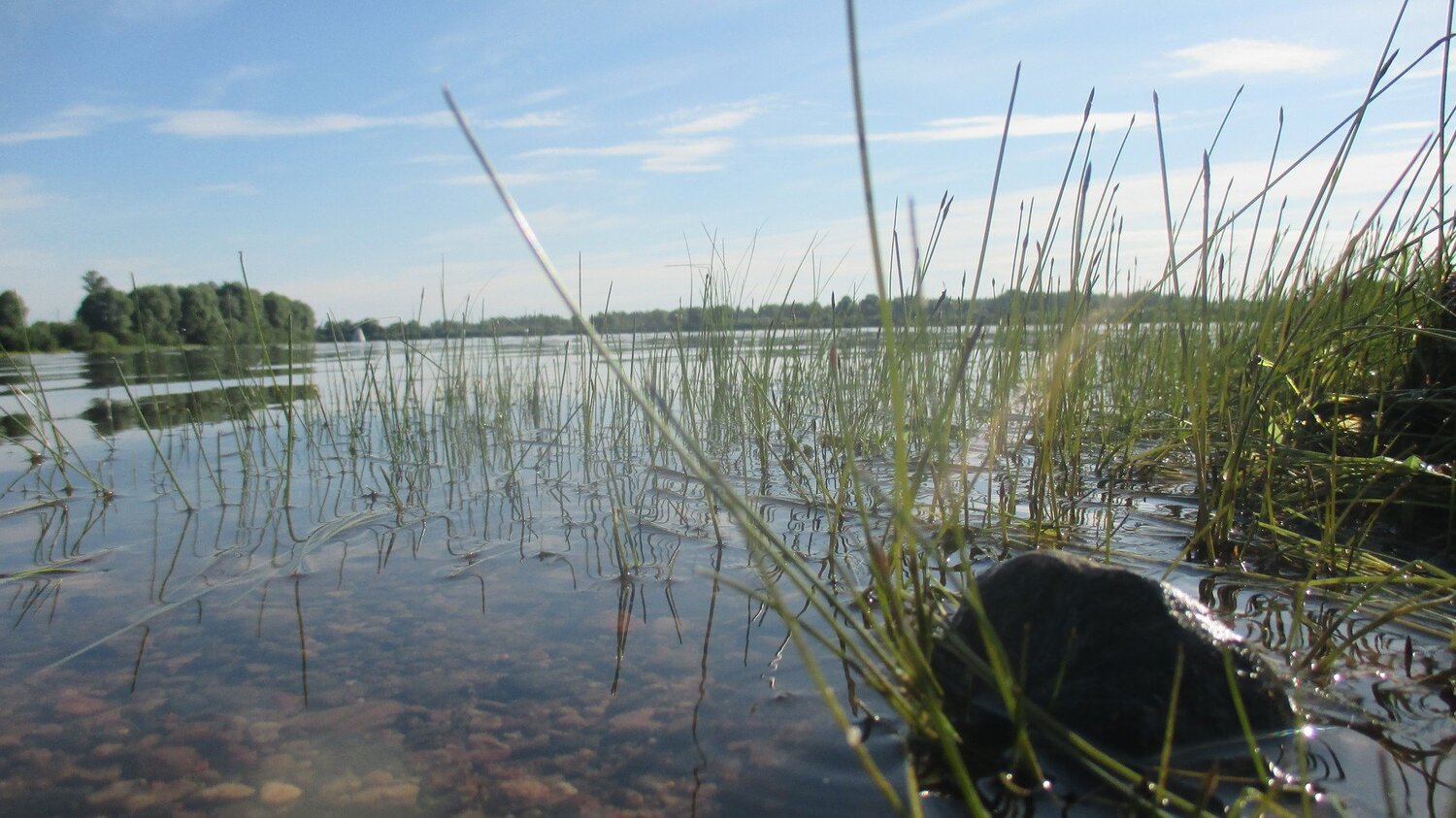 Река Мста