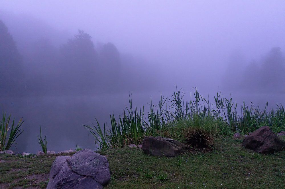 Сиреневый туиан над нами пролывает...