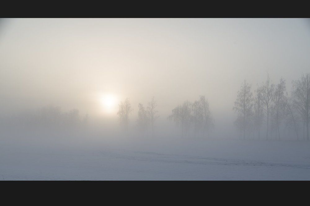 Туман морозным утром